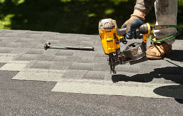Best Green or Eco-Friendly Roofing Solutions  in Woodsi East, DE