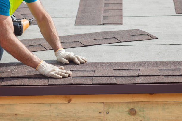 Best Sheet Metal Roofing  in Woodsi East, DE